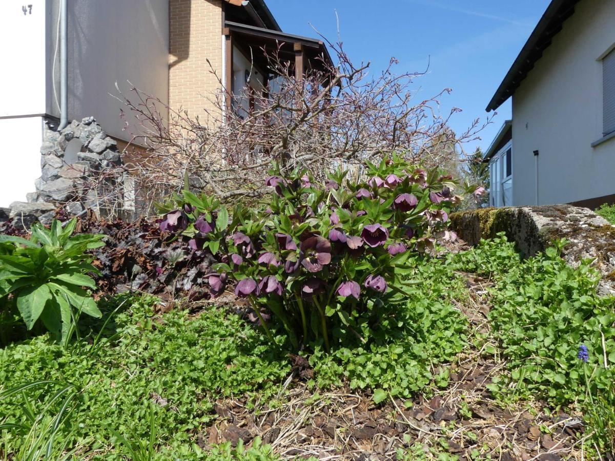 Ferienwohnung Schanbacher Oberzent Екстер'єр фото